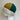 Hat Seamed in Bright Naturals